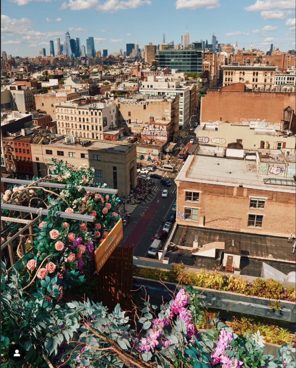 Join Us on the Rooftop!